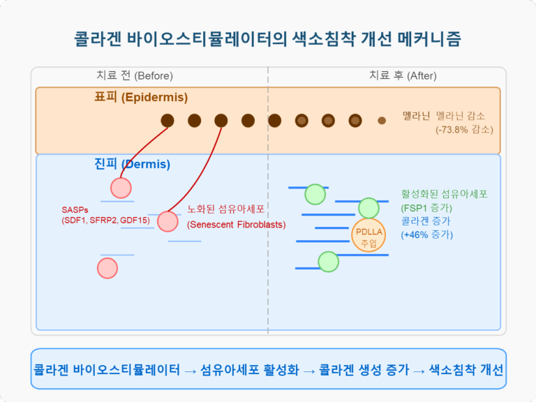 쥬베룩의 광노화 치료 기전