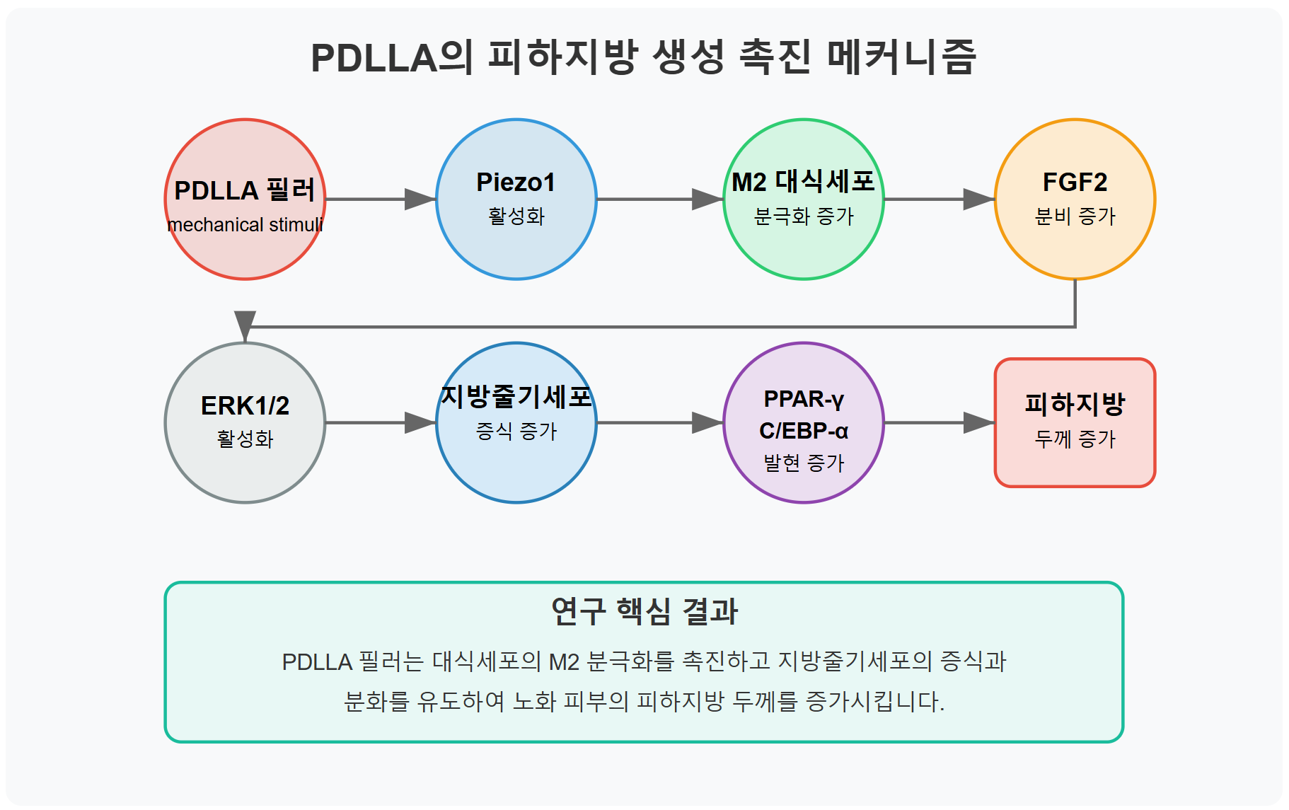 쥬베룩