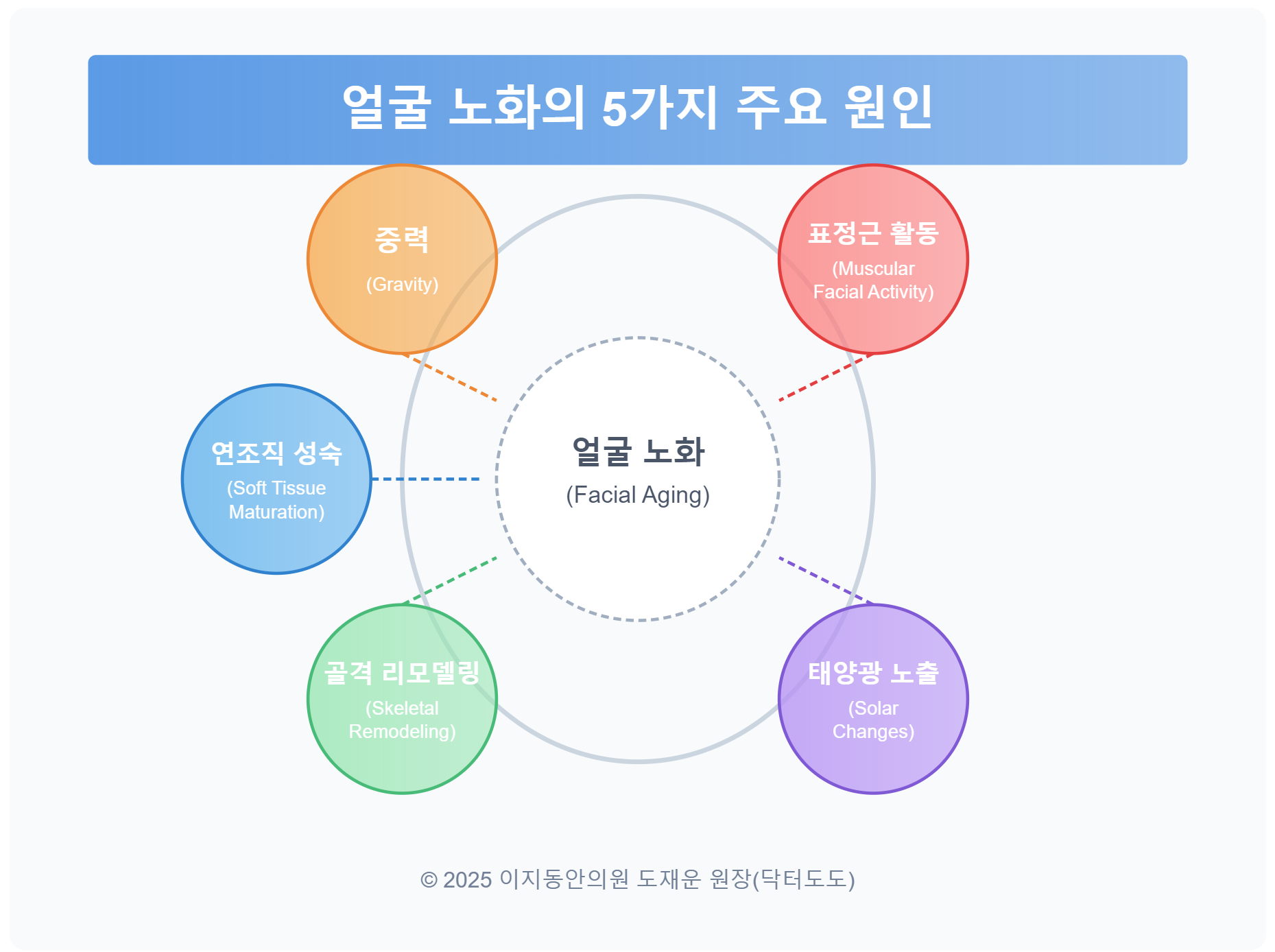 얼굴 노화의 해부학과 병태생리학: 종합적 이해