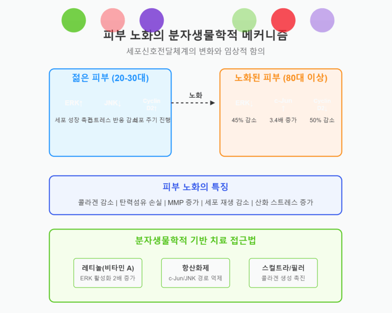 노화의 분자생물학
